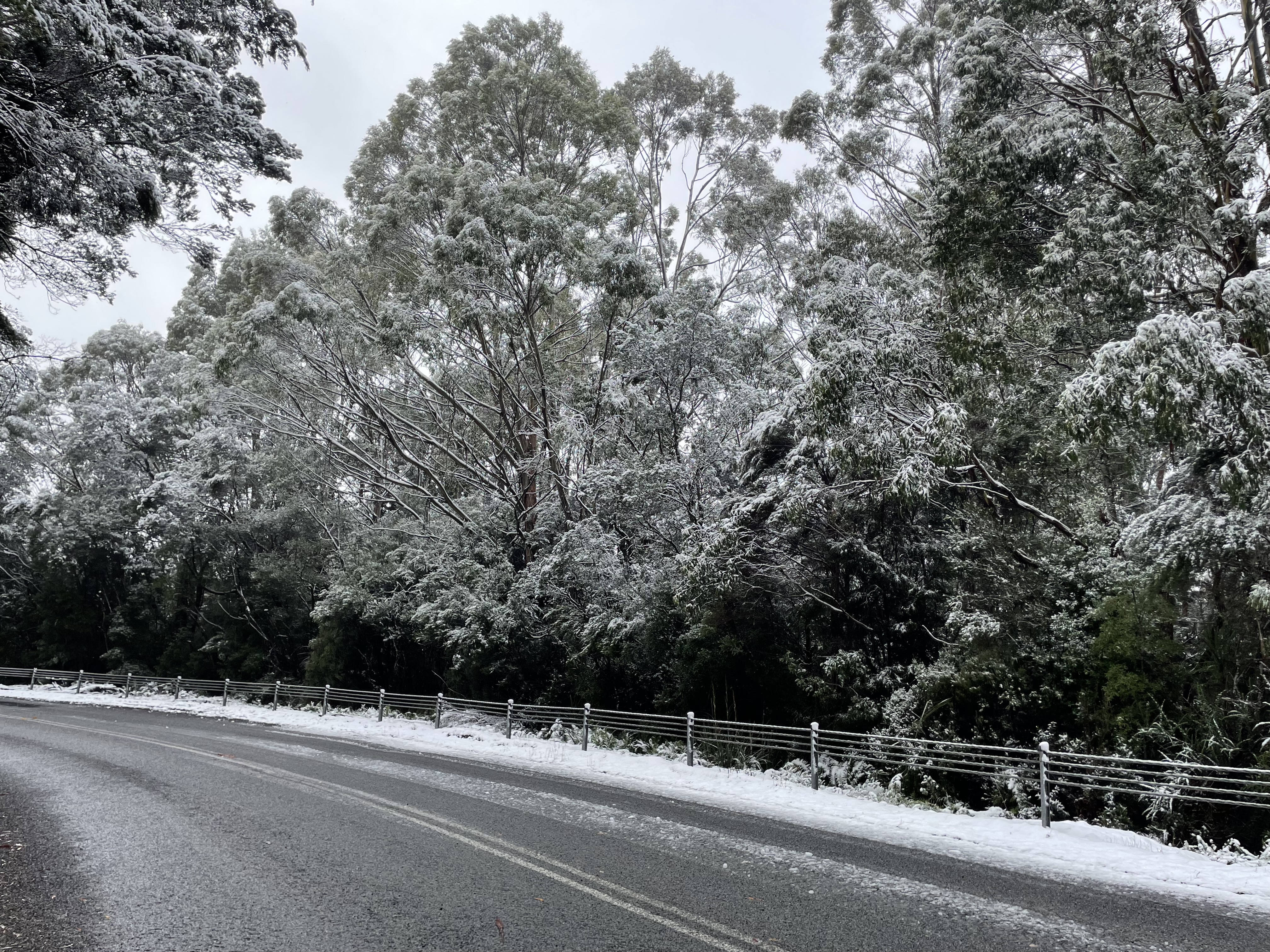 Strahan to Hobart (7th May, 2026)